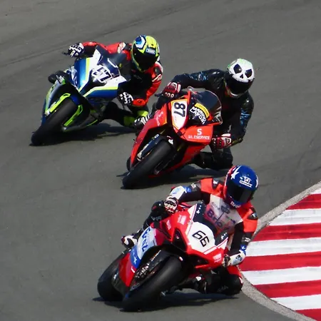 Dalida * Grobnik (Cavle)